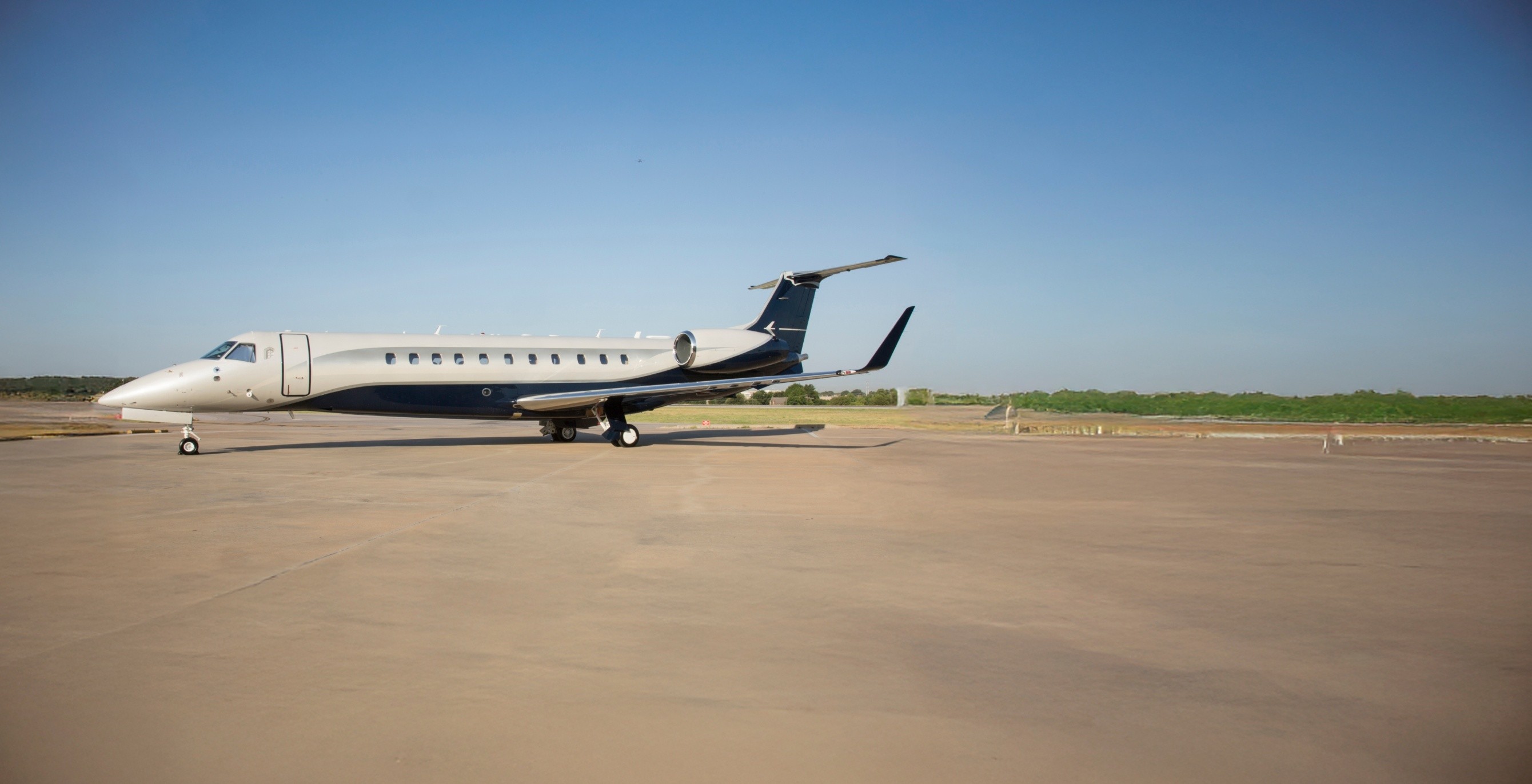Legacy 650